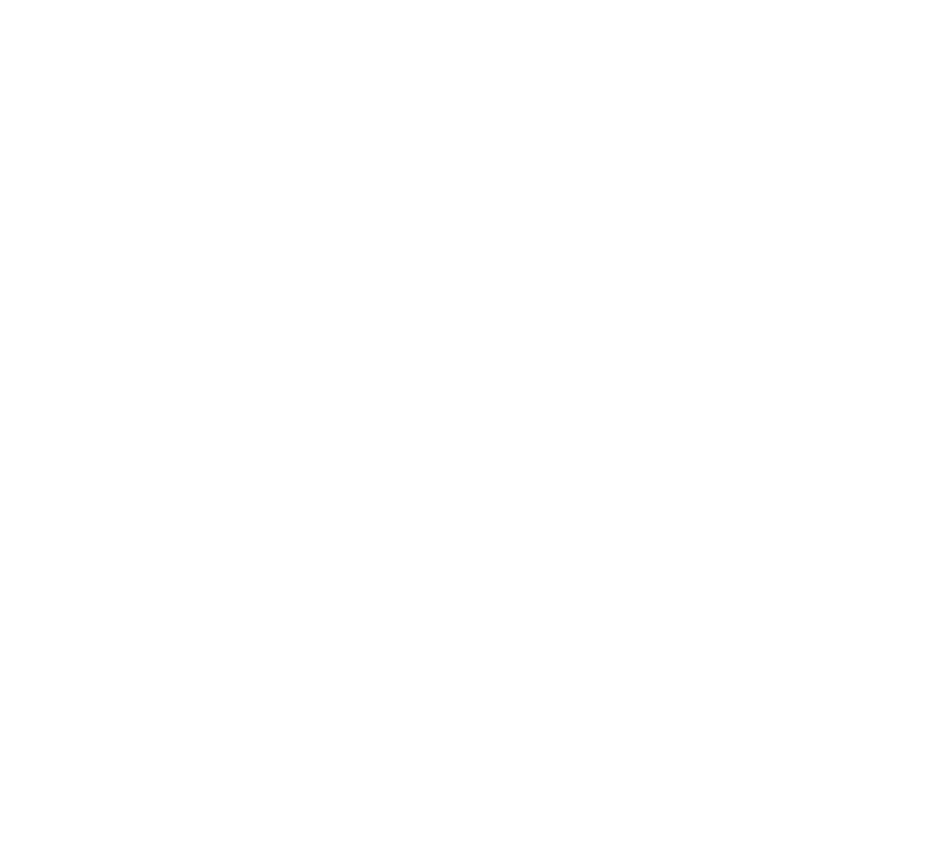 RAM International Group